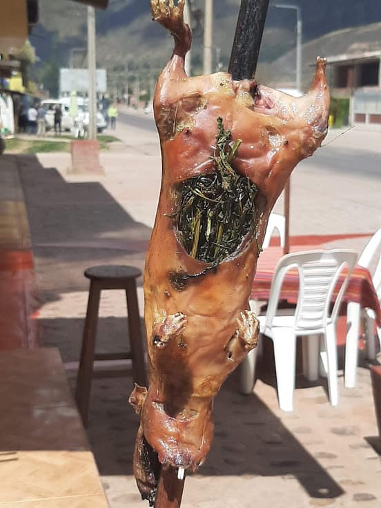 Stuffed Guinea Pig, Cuy