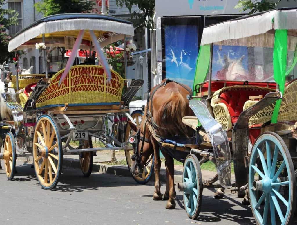 Traffic free Princess island tour Horse Carriage