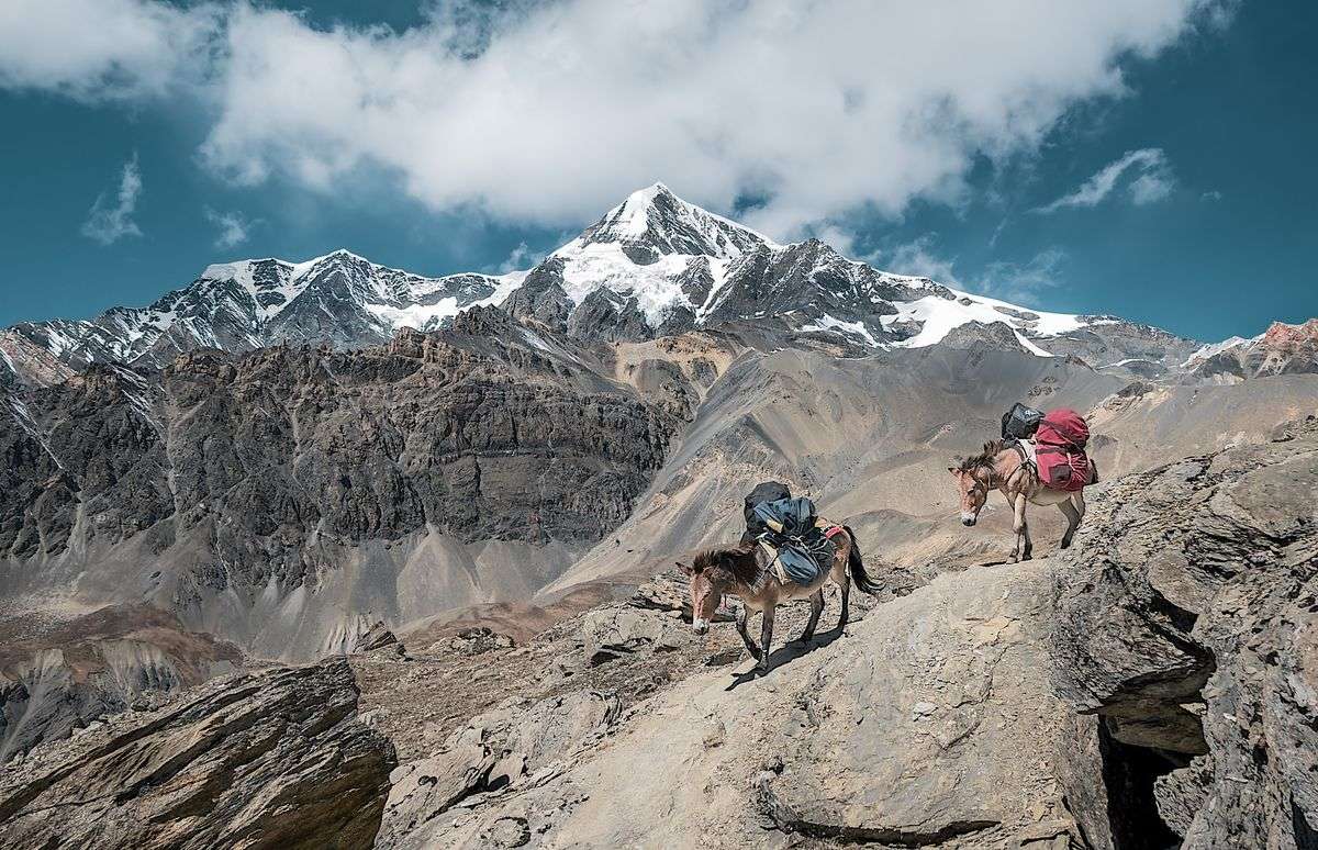 Treks in Peru through the Andes