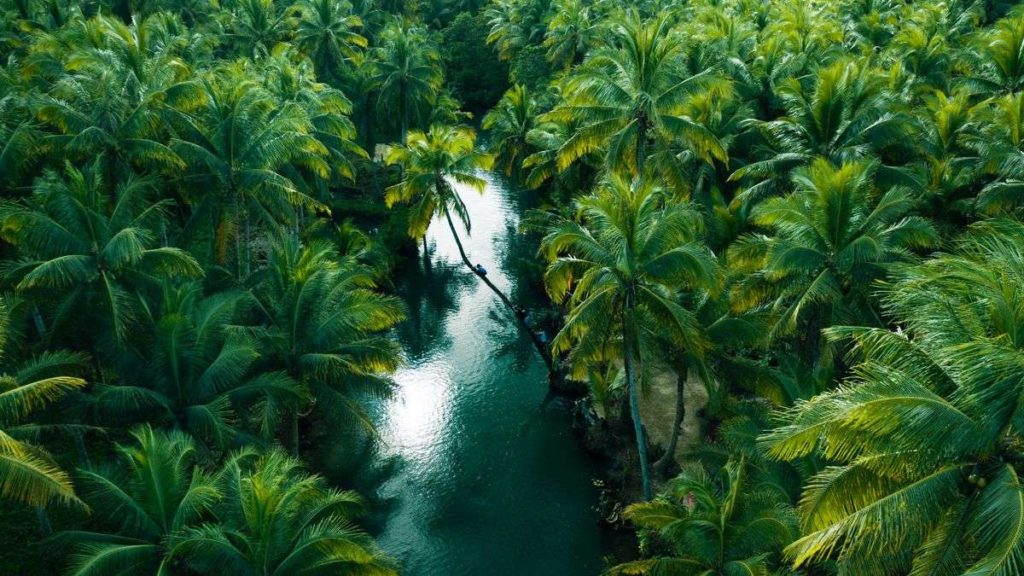 Peru Jungle Amazon river