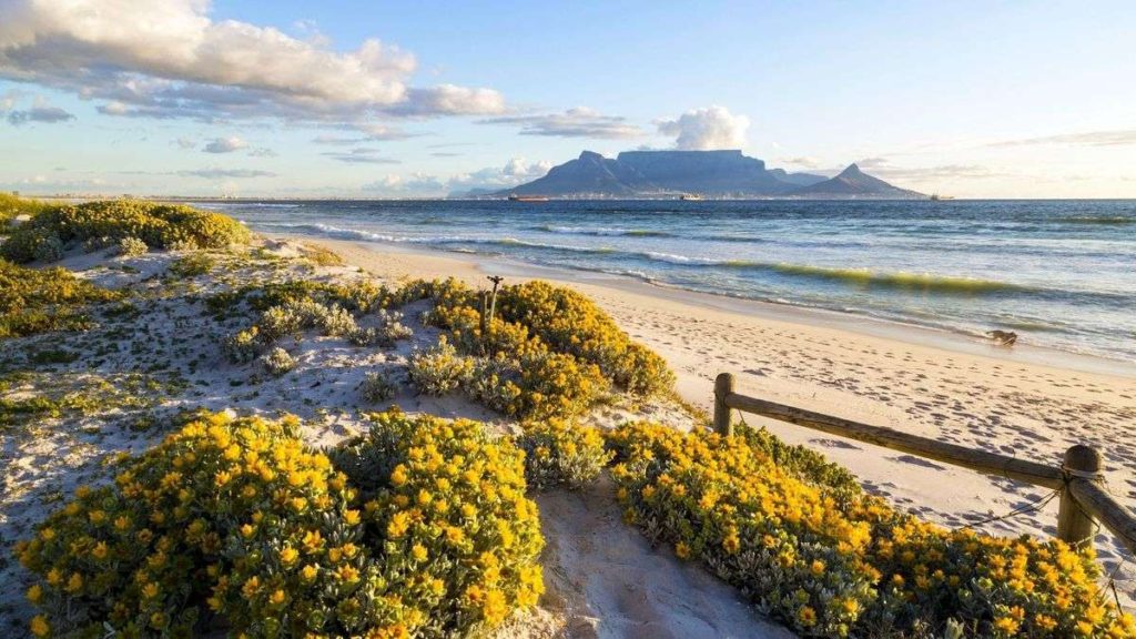 Best things to do at Cape Town, Table Mountain hike, Blouberg weather
