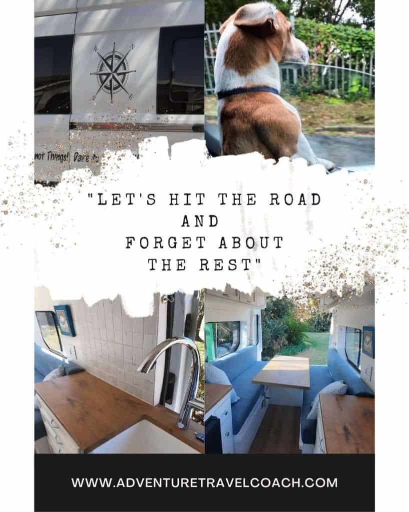 Doggie looking out of the window during a Van Life Journey 