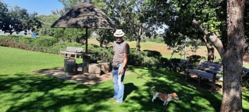 Gauteng to Eastern Cape Man Pitstop walking with his dog at a grassed picnic spot