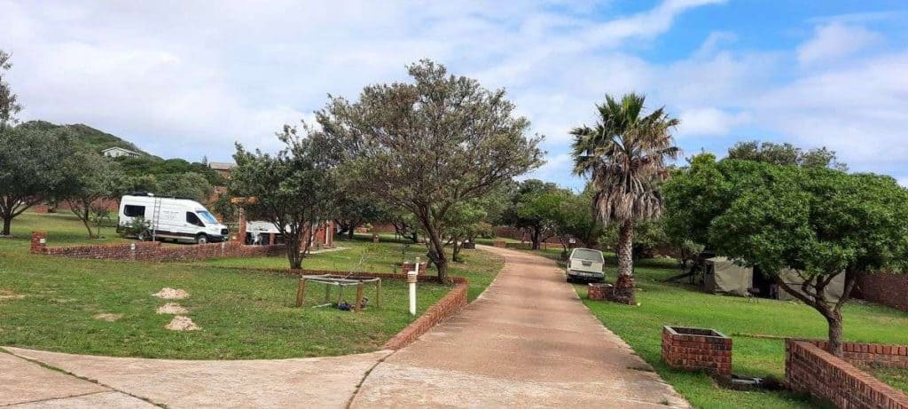 Oyster Bay Camping campsite