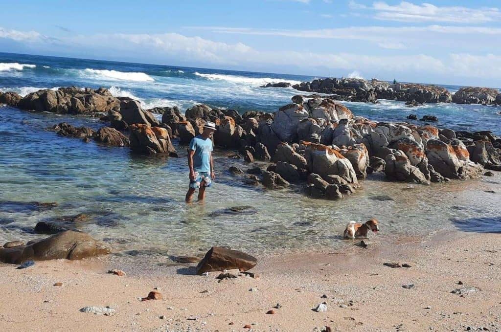 Man and his dog playing in the sea at The Willows, Port Elizabeth