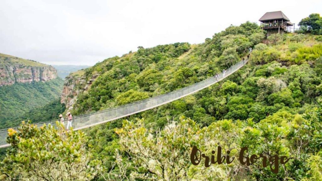 Oribi Gorge Activities