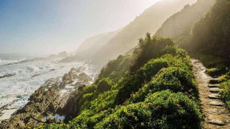 View of the Coastline of South Africa's Tsitsikamma National Park