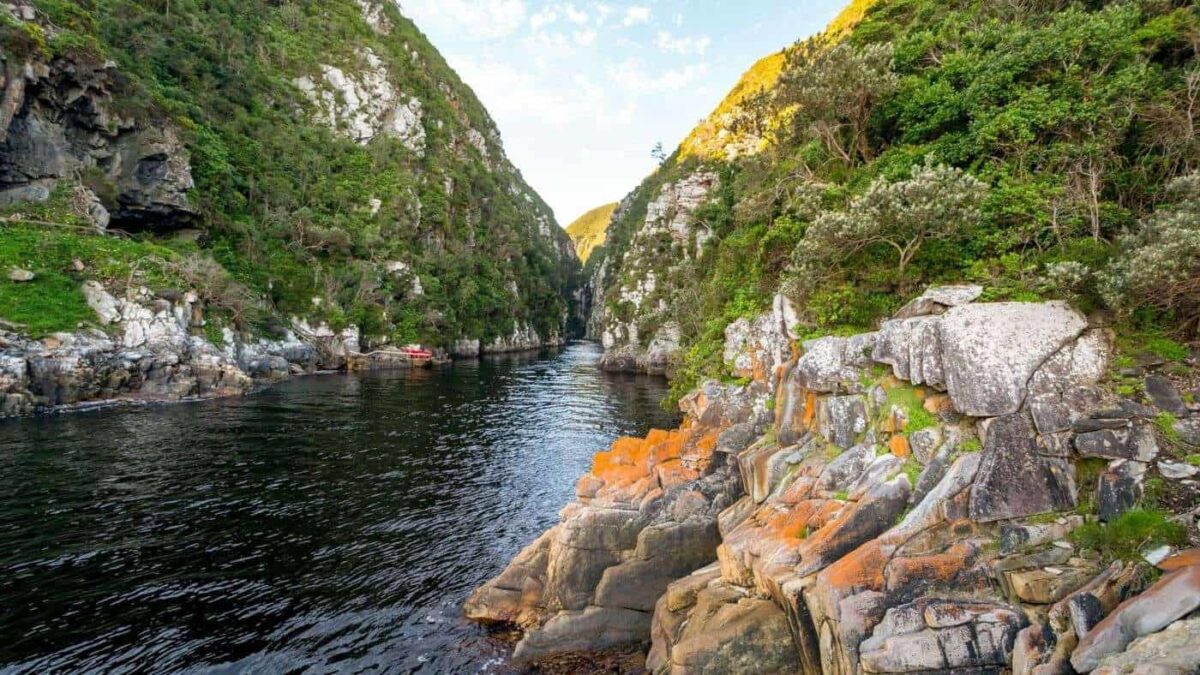 Storms River Gorge Tsitsikamma National Park