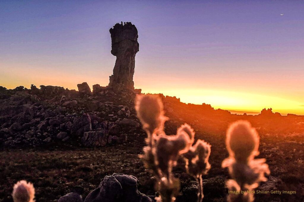 Maltese Cross Cederberg
