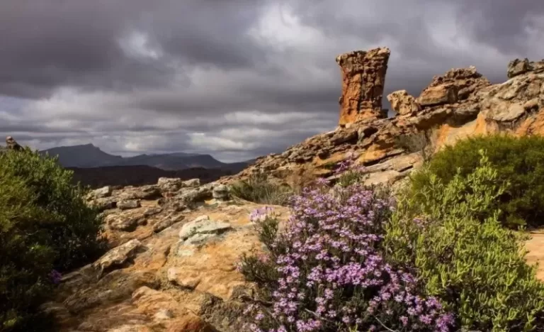 Picturesque scene of Cederberg Mountain range and vegetation, Northern Cape, SA