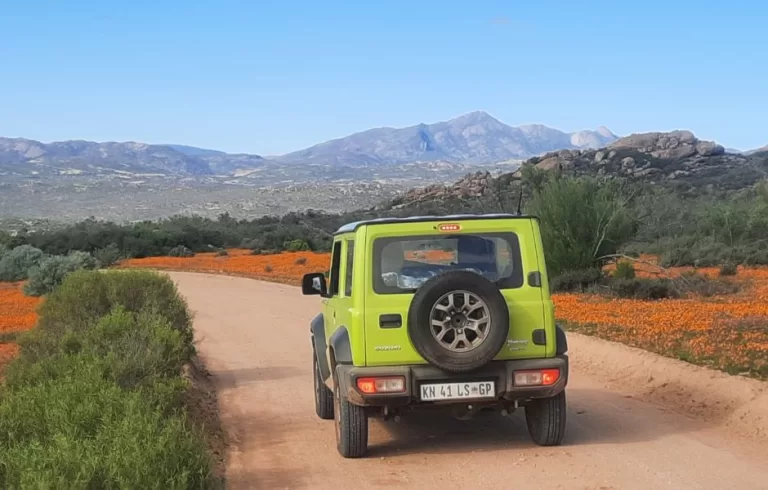 Chasing Flowers in Namaqualand
