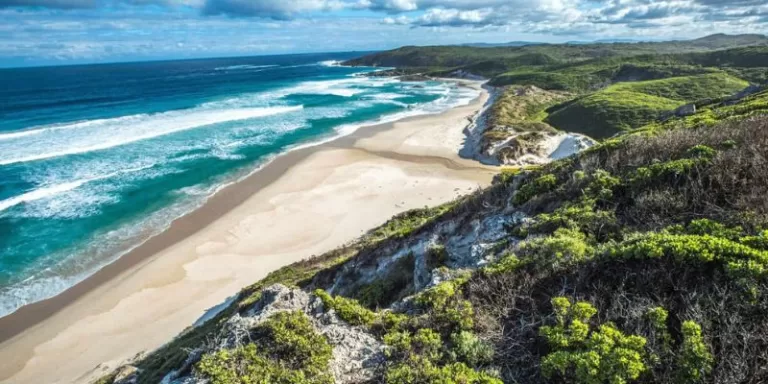 Stretch of Beach with lush green vegetation on the South Coast Kwazulu Natal, South Africa #KZNcoastline
