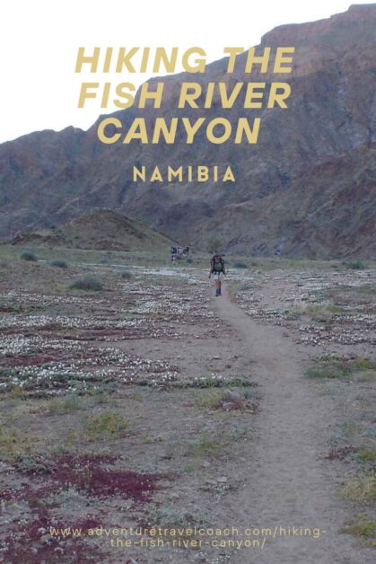 Hikers hiking in the Fish River Canyon, surrounded by Rocky landscapes and beautiful flowers. 