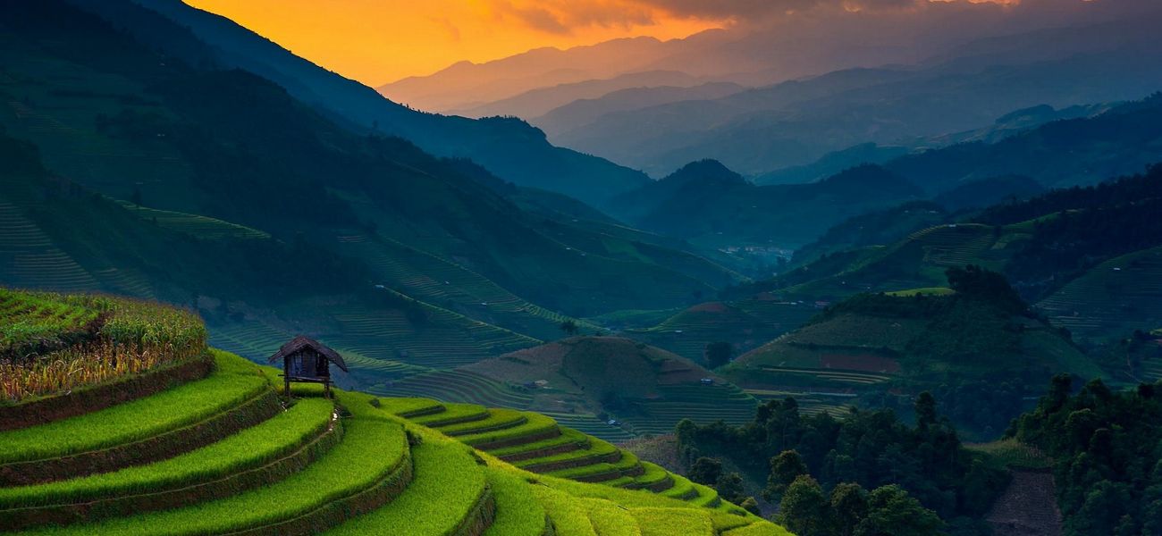 Lush green Sapa Rice fields Vietnam with Mount Fansipan in background