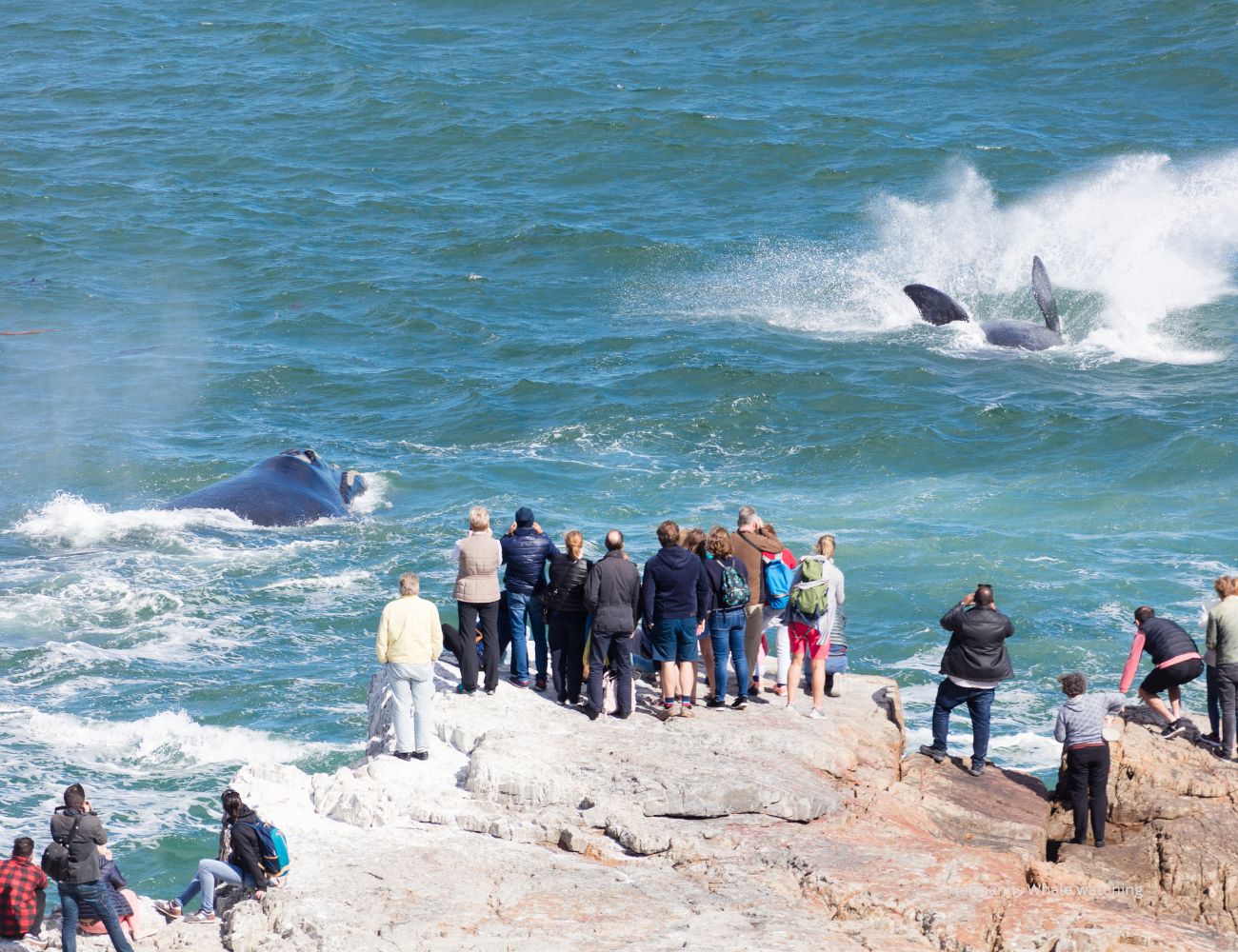 Spectators on the rocks Hermanus Whale watching season South Africa