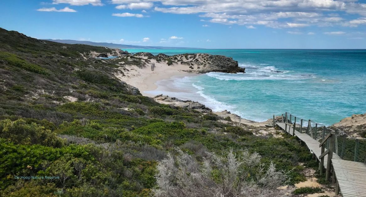 de Hoop Nature Reserve Beach on Whale Trail