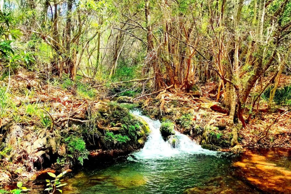 Kadisi falls on walking trail in forest #kadisitrail