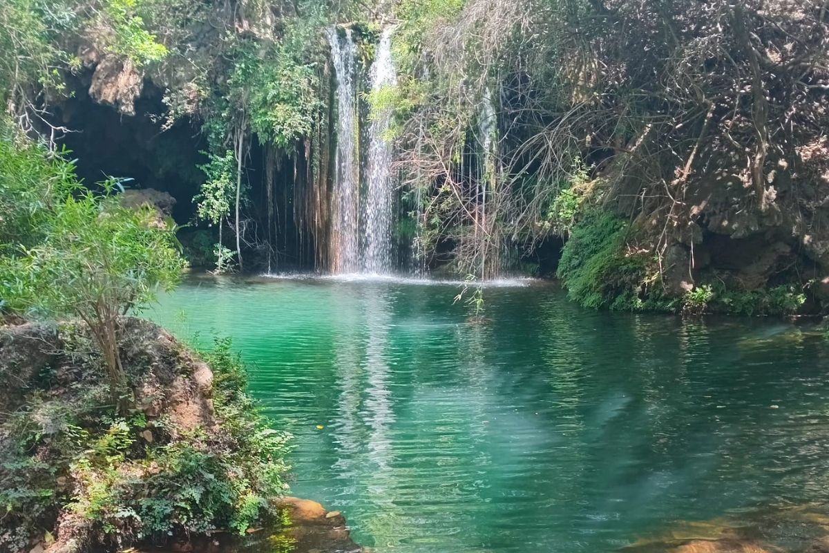 Kadishi Tufa Waterfall with its turquoise water surrounded by ferns in forest