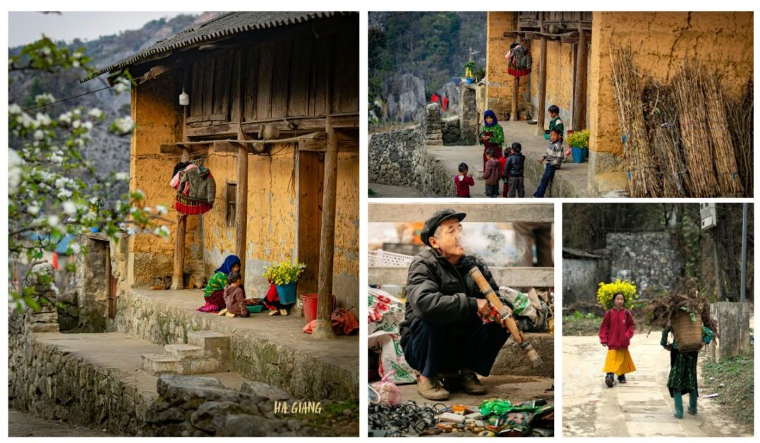 Daily living in Ha Giang Vietnam Countryside - man smoke pipe, children walking with baskets of flowers.
