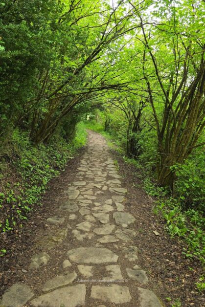 Scenic path on Camino Frances in Spain #frenchway