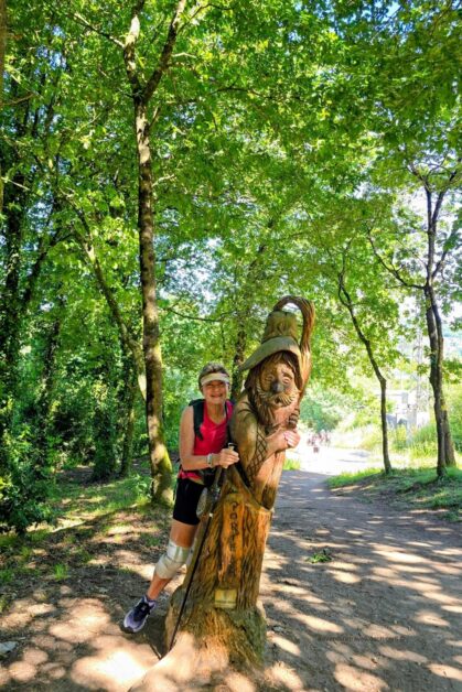 Distinctive tree-trunk carving on camino route in Galicia #Pontevedra #CaldasdeReis #Padrón