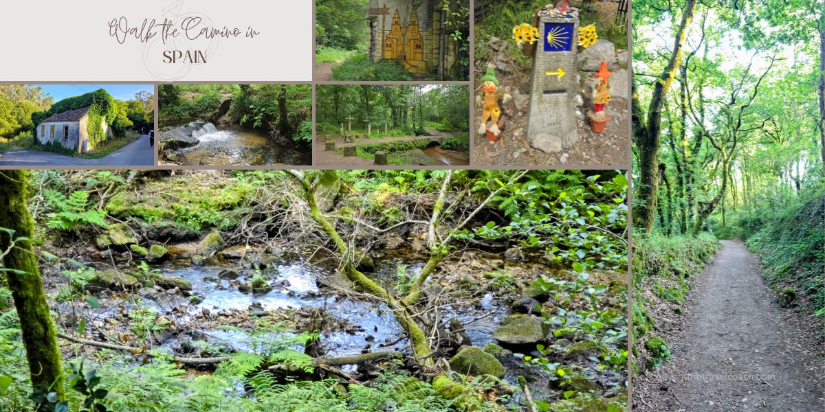 Scenery on the Camino route in Spain