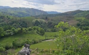 Camino Frances route walking from Saint Jean Pied de Port to Roncesvalles #StjeanPieddePort #stJeanPieddePort #france